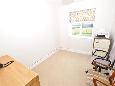 Picture 13